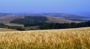 A workshop image in Abbotsbury Studio - click here to see an enlargement